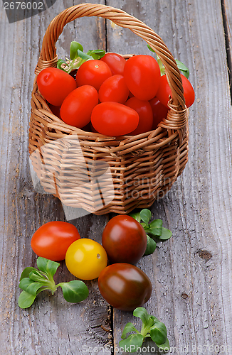 Image of Various Tomatoes