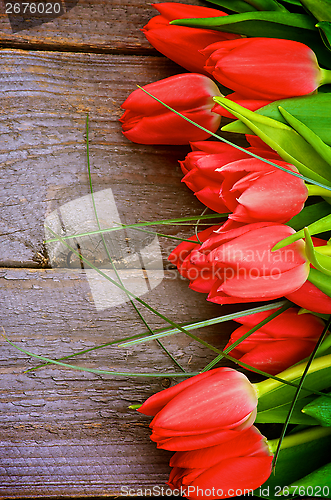 Image of Red Tulips