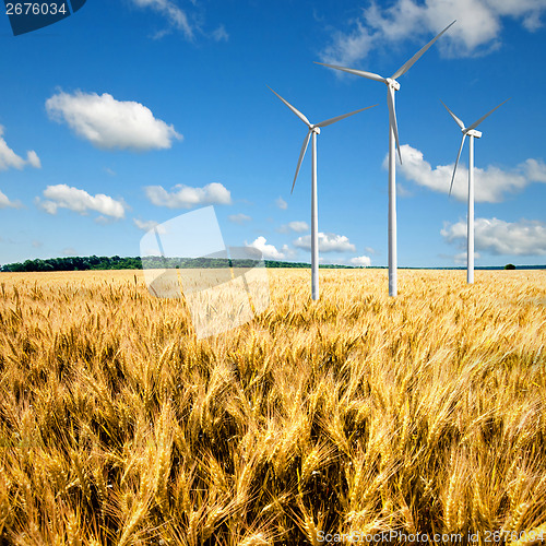 Image of Wind generators turbines on wheat field