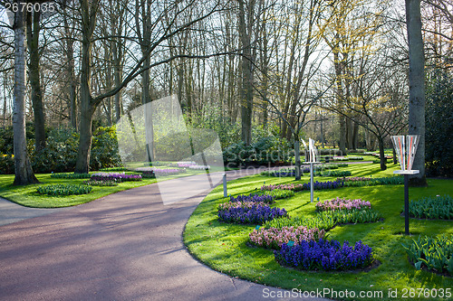 Image of Famous flowers park Keukenhof in Netherlands also known as the G