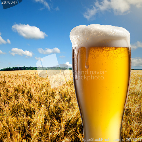 Image of Glass of beer against wheat field and blue sky