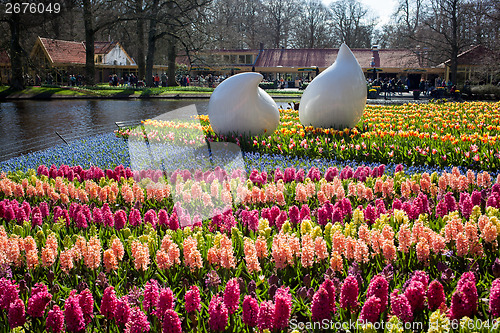 Image of Lisse, Netherlands - April 20, 2013: Flowers in Keukenhof park, 