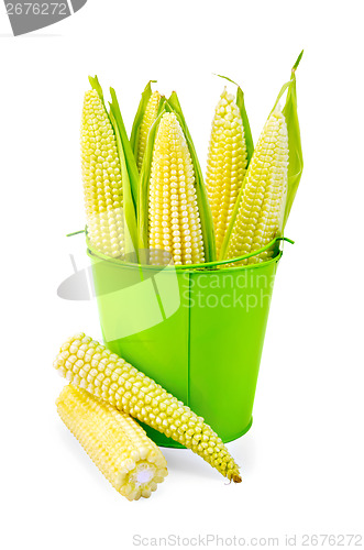 Image of Corn on the cob in a green bucket