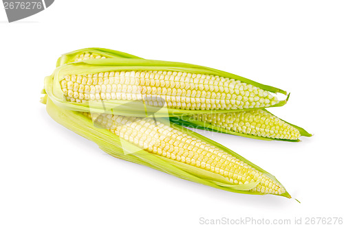 Image of Corn cobs