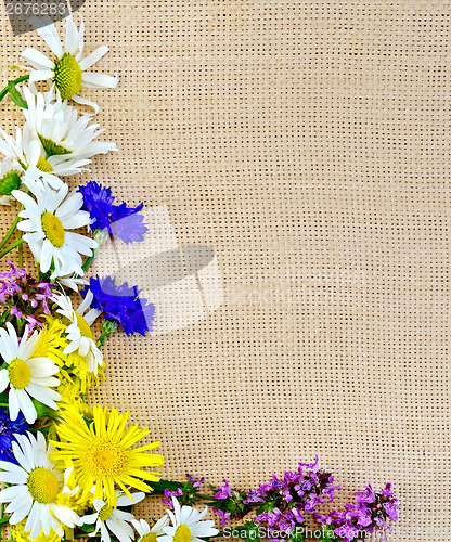 Image of Frame of wild flowers on sacking