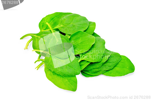 Image of Spinach fresh