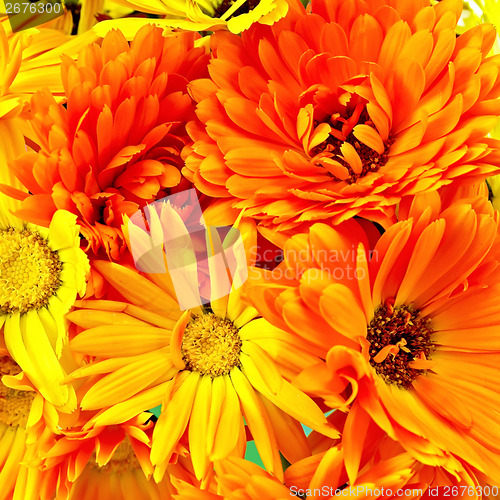 Image of Calendula flowers bouquet