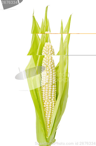 Image of Corncob