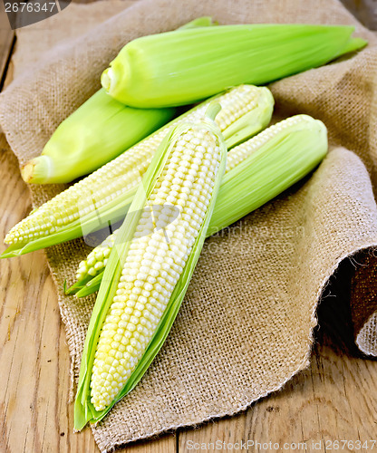 Image of Corncob on burlap