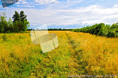 Image of Summer landscape with road and blue sky