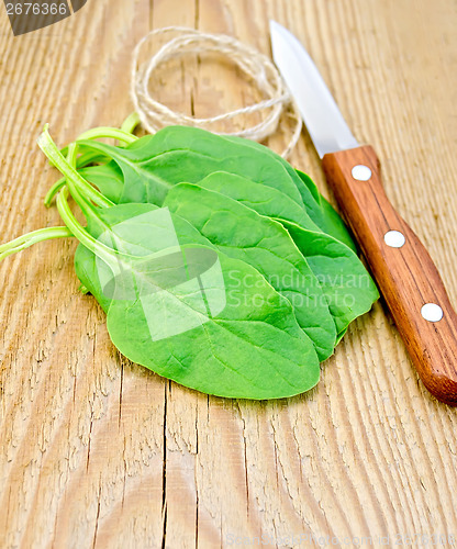 Image of Spinach with a knife and twine on the board