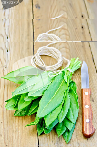 Image of Sorrel with knife and twine on the board