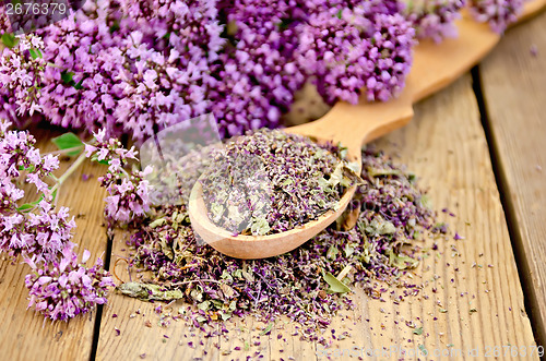 Image of Herbal tea of fresh and dry oregano on spoon