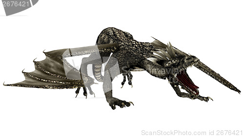 Image of Angry Dragon