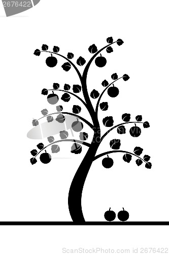 Image of  apple tree 