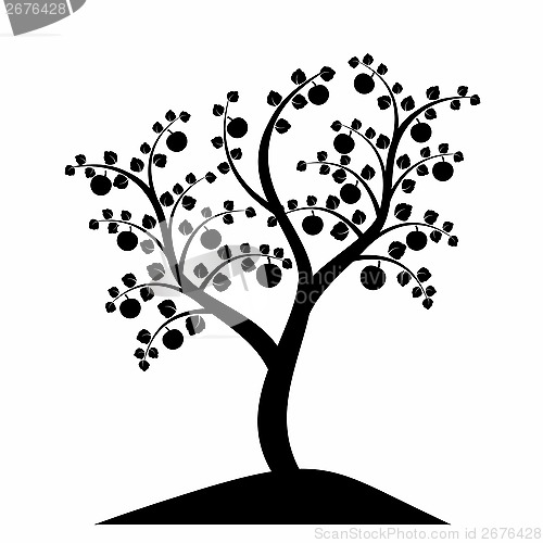 Image of apple tree silhouette