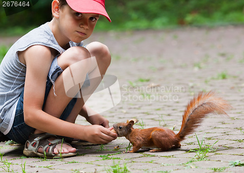 Image of Little boy and squirrel