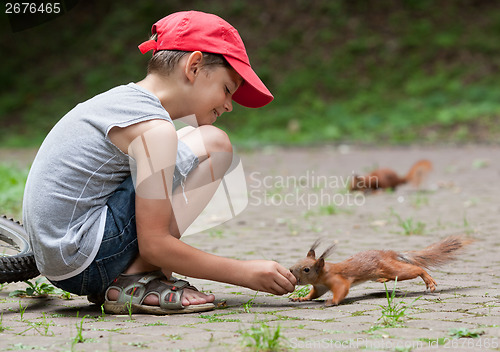 Image of Little boy and squirrels