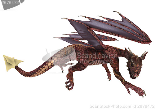Image of Flying Little Dragon