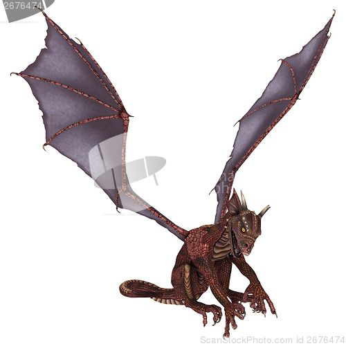 Image of Little Dragon