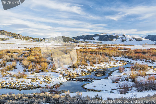 Image of beaver swamp in Rocky Mountains