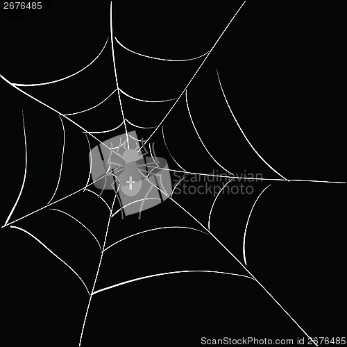 Image of spider in web