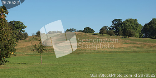 Image of Primrose Hill London