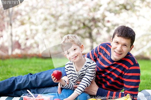 Image of family picnic