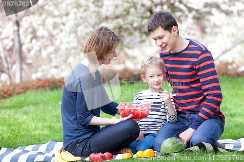 Image of family picnic