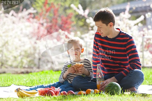Image of family picnic