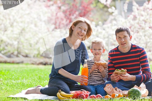 Image of family picnic