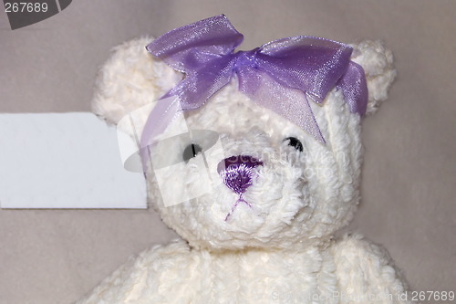 Image of teddy with a purple bow