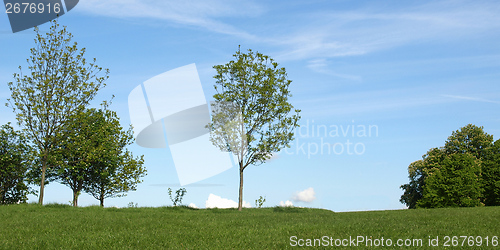 Image of Primrose Hill, London