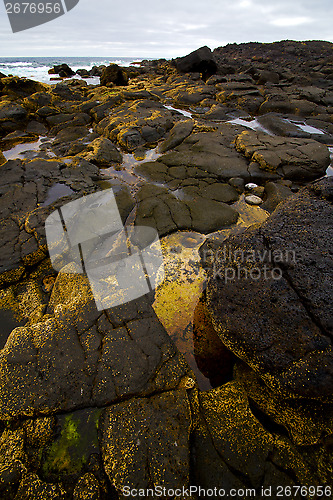 Image of  lanzarote  isle foam rock spain  