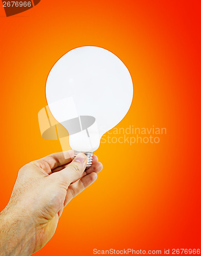 Image of White bulb