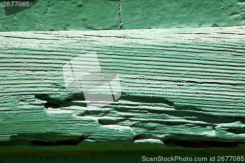 Image of texture in spain lanzarote abstract green   