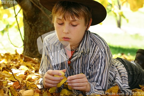 Image of Boy in autumn leaves foliage