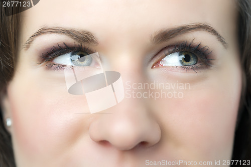 Image of Closeup woman eyes