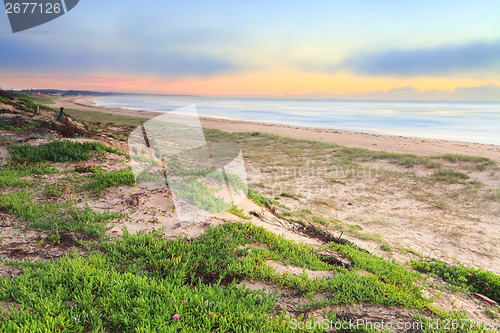 Image of Foggy Beach Sunrise