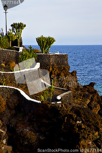 Image of cactus street lamp chain hill coastline lanzarote 