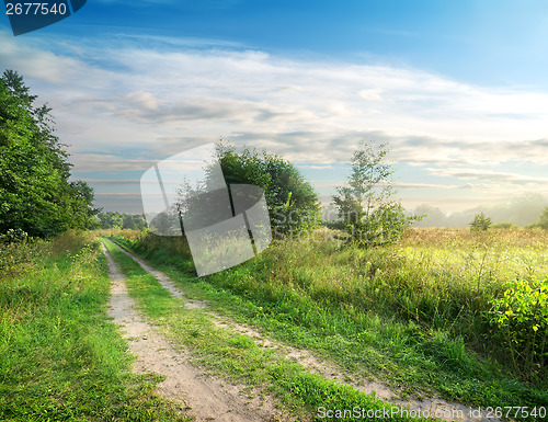 Image of Country road and field