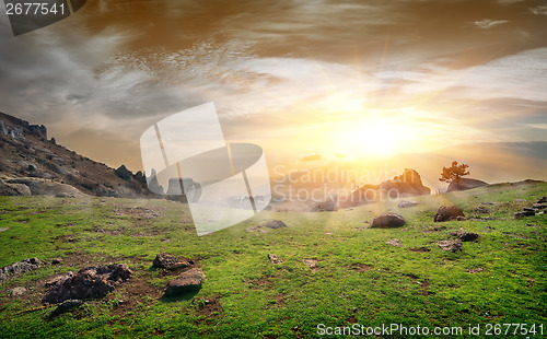 Image of Rocks on a meadow