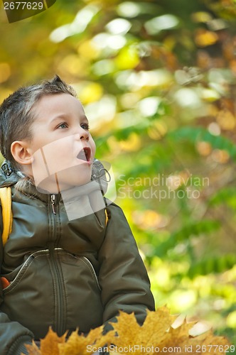 Image of autumn baby boy