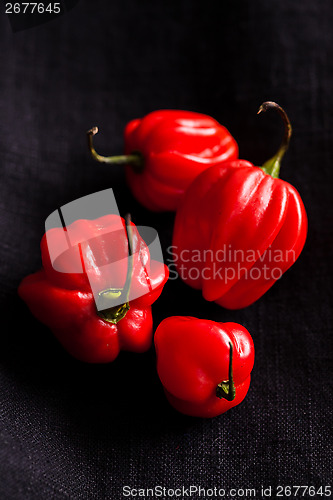 Image of Red chili peppers