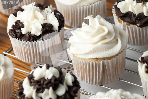 Image of Delicious Gourmet Cupcakes