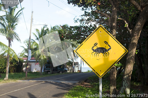 Image of crab crossing caution street sign on only road Big Corn Island N