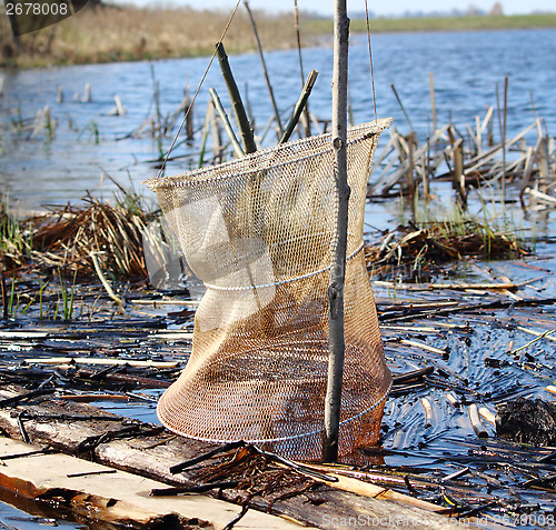 Image of Fish Net