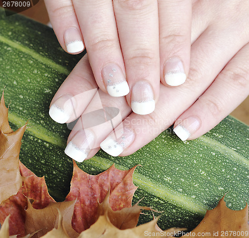 Image of French manicured nails
