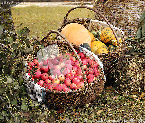 Image of Autumn garden goodies