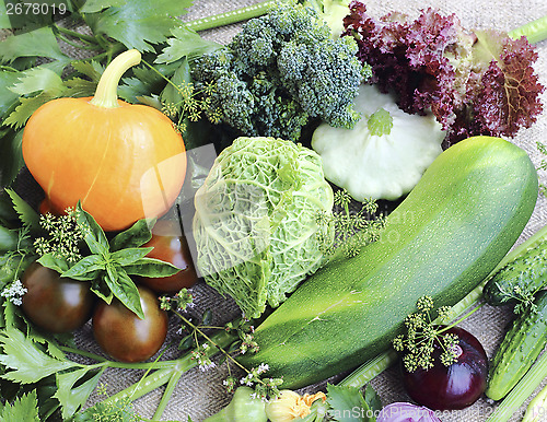 Image of Ripe fresh vegetables close up